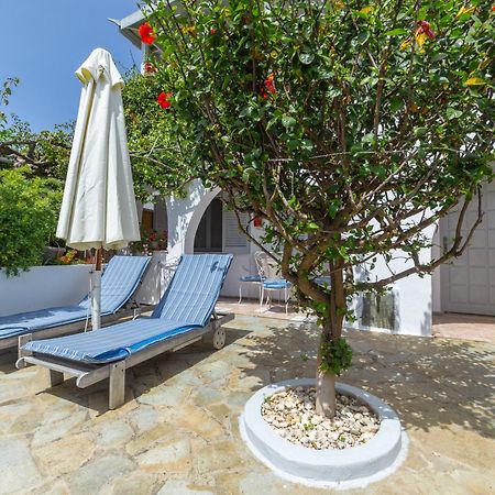 Villa Arni Andros - Βίλα Αρνη Mpatsi Buitenkant foto