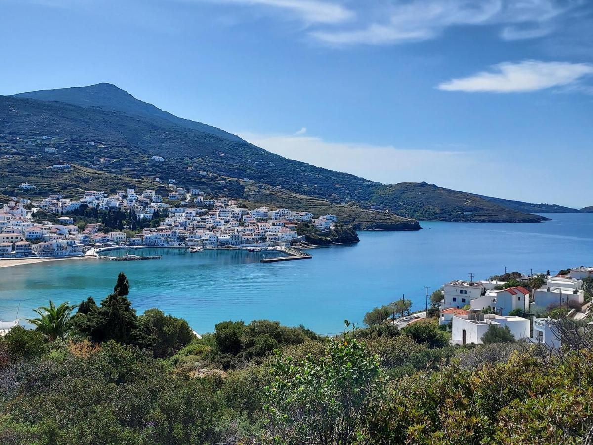 Villa Arni Andros - Βίλα Αρνη Mpatsi Buitenkant foto