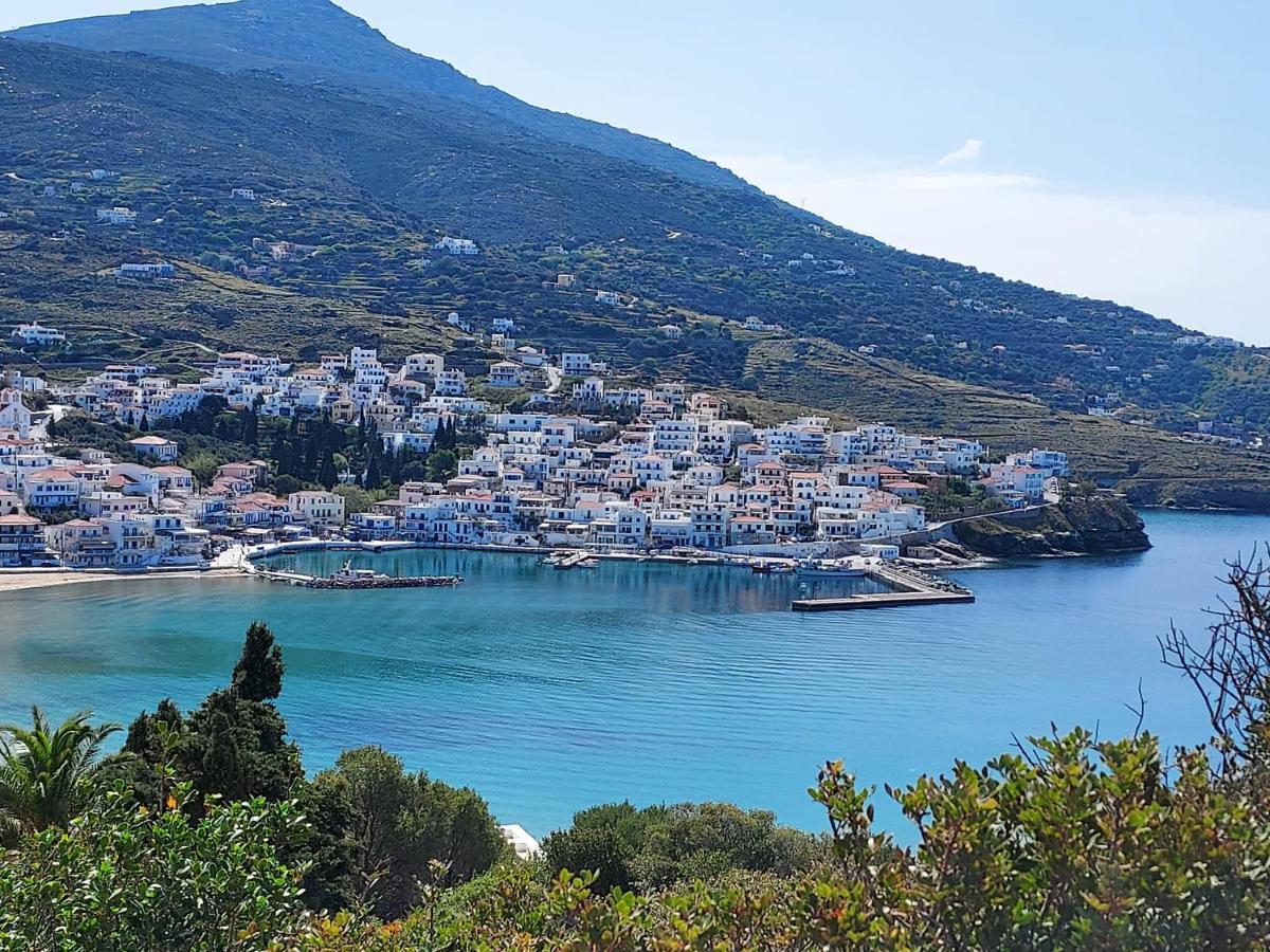 Villa Arni Andros - Βίλα Αρνη Mpatsi Buitenkant foto