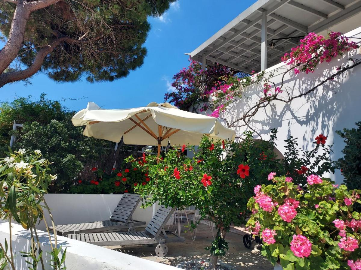 Villa Arni Andros - Βίλα Αρνη Mpatsi Buitenkant foto