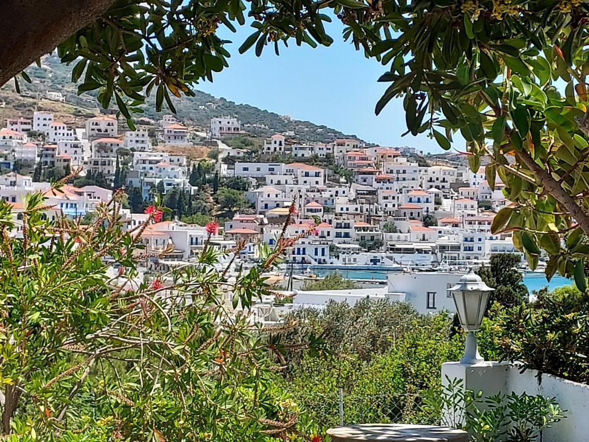 Villa Arni Andros - Βίλα Αρνη Mpatsi Buitenkant foto