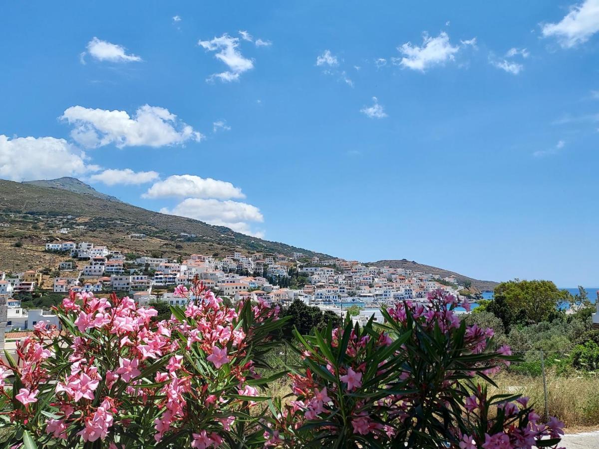 Villa Arni Andros - Βίλα Αρνη Mpatsi Buitenkant foto