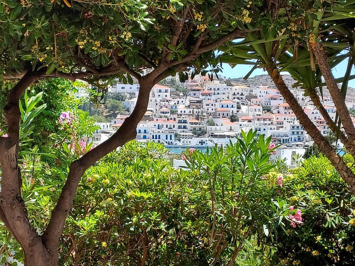 Villa Arni Andros - Βίλα Αρνη Mpatsi Buitenkant foto
