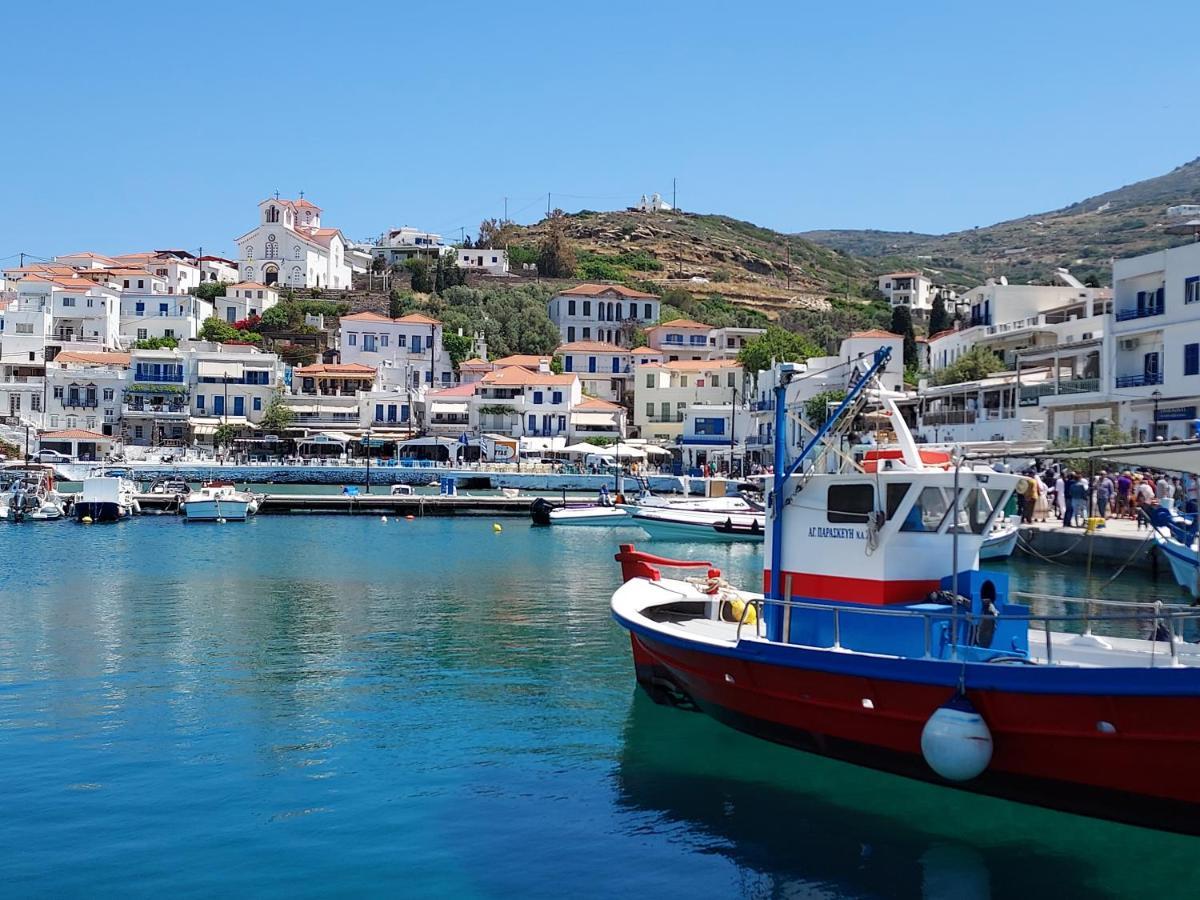Villa Arni Andros - Βίλα Αρνη Mpatsi Buitenkant foto