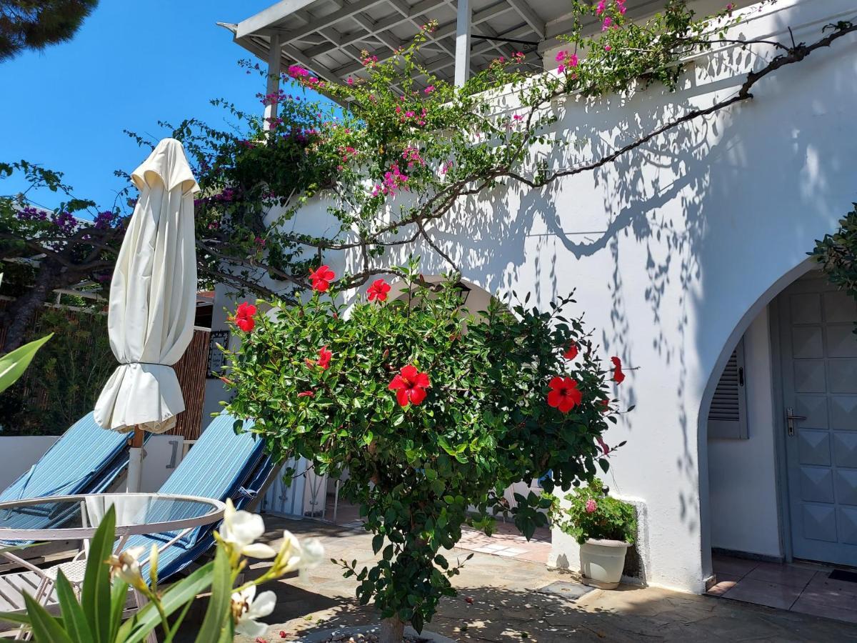 Villa Arni Andros - Βίλα Αρνη Mpatsi Buitenkant foto