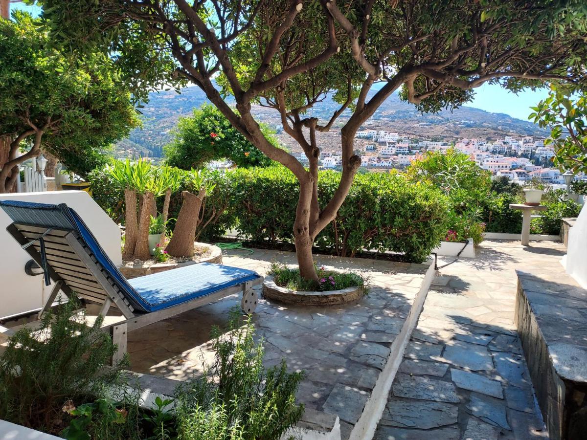 Villa Arni Andros - Βίλα Αρνη Mpatsi Buitenkant foto