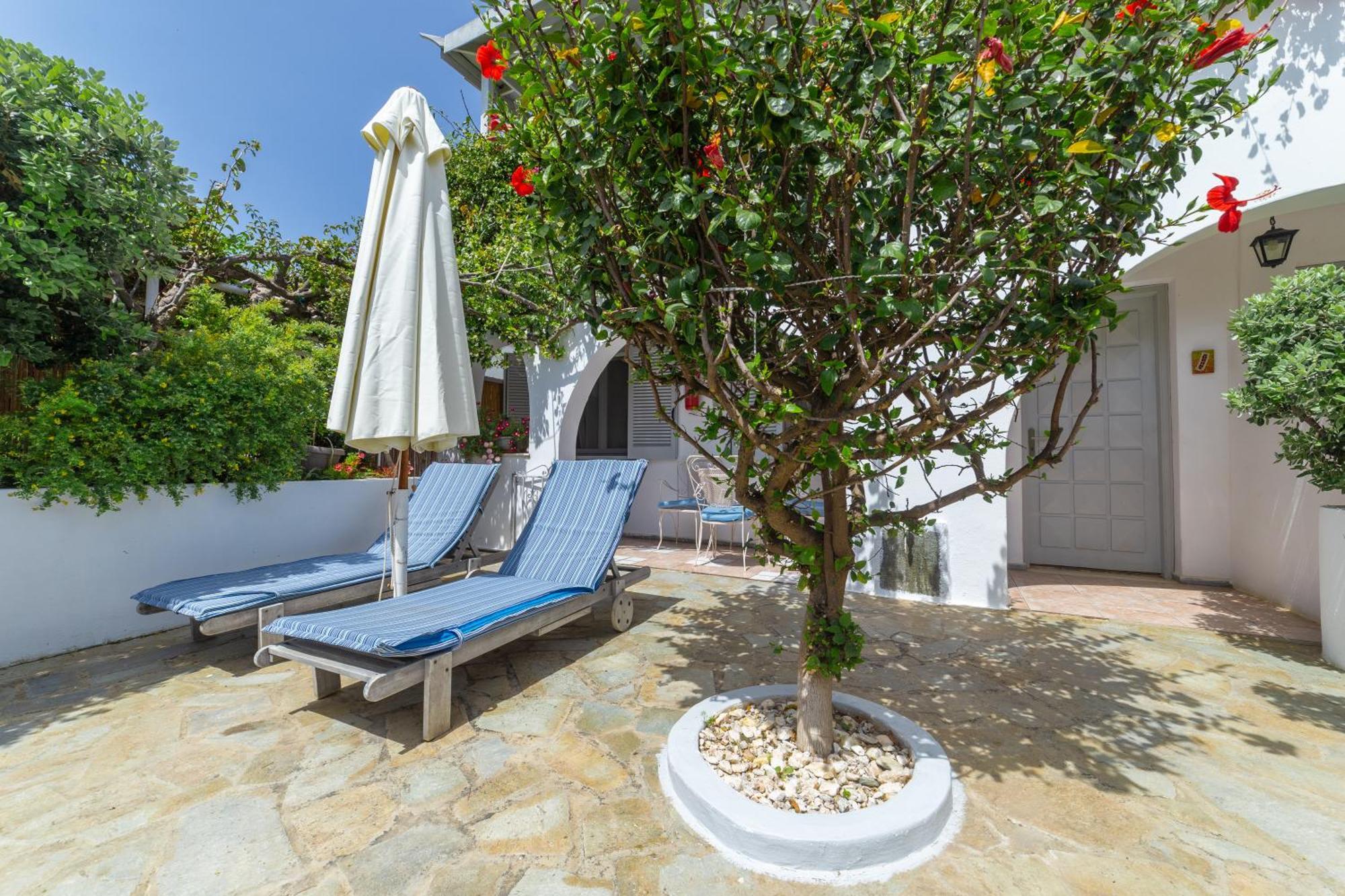 Villa Arni Andros - Βίλα Αρνη Mpatsi Buitenkant foto