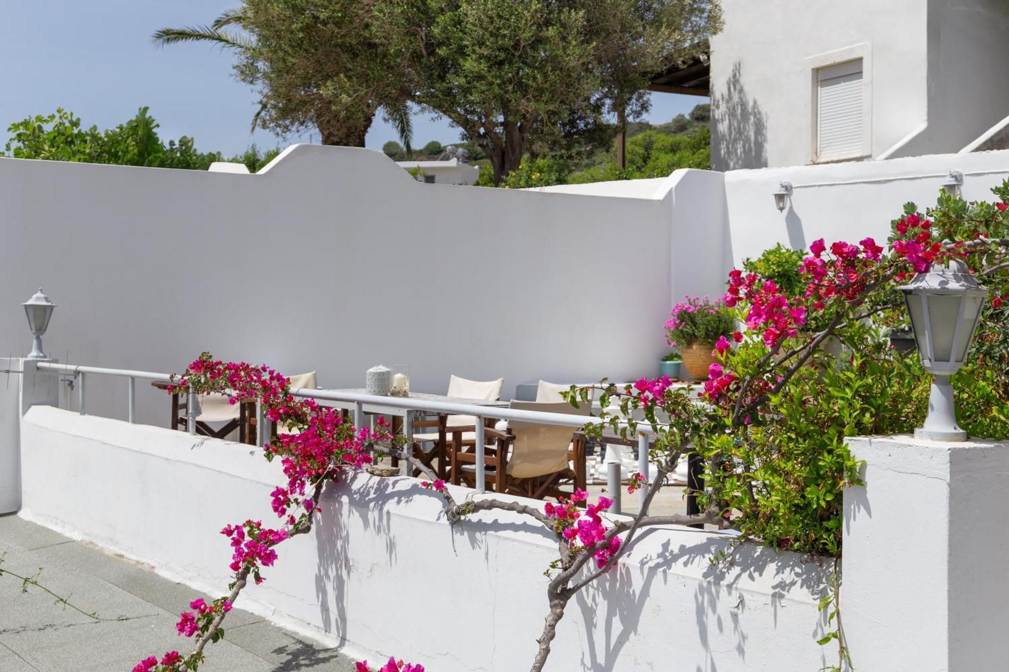 Villa Arni Andros - Βίλα Αρνη Mpatsi Buitenkant foto