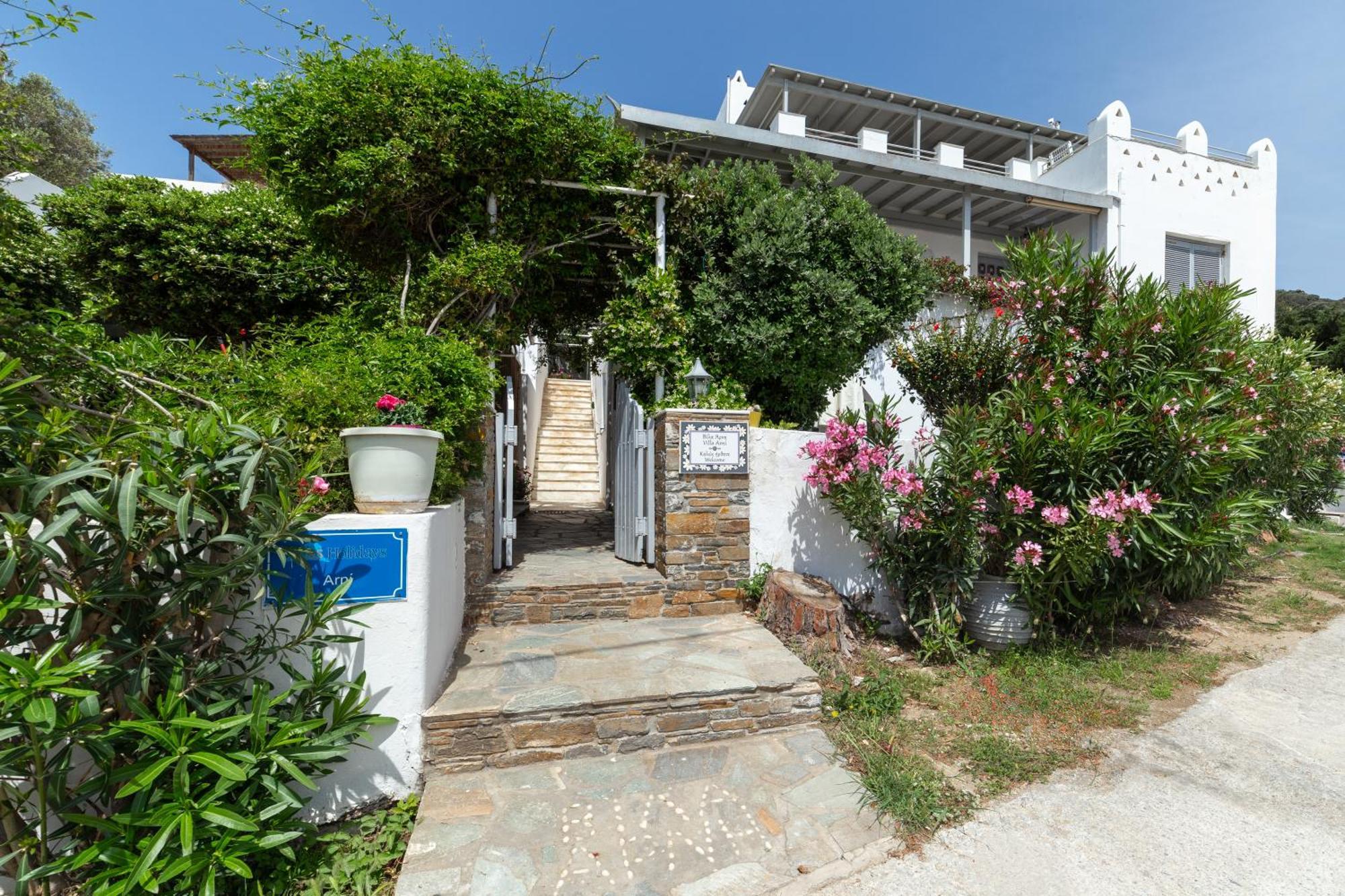 Villa Arni Andros - Βίλα Αρνη Mpatsi Buitenkant foto