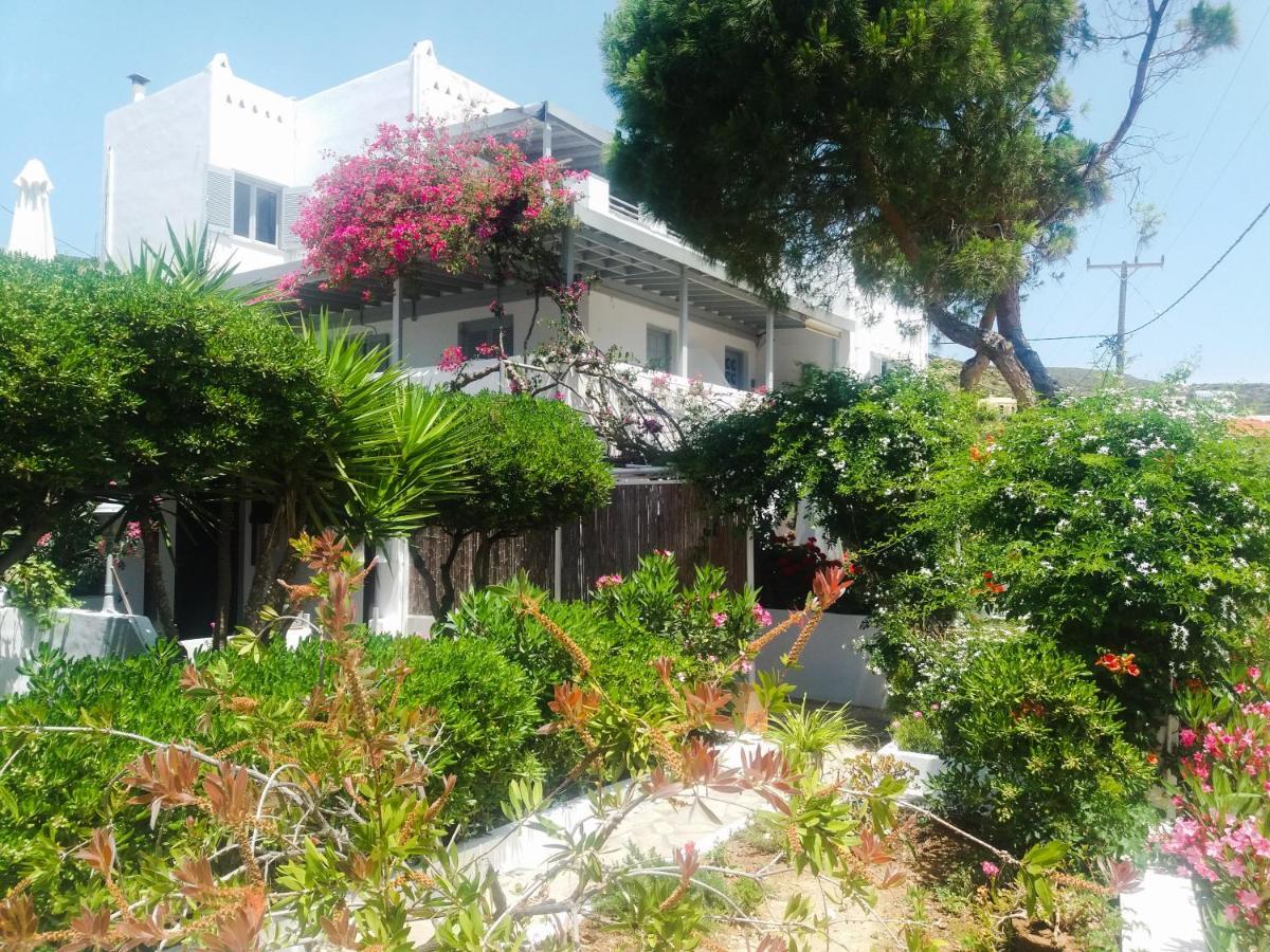 Villa Arni Andros - Βίλα Αρνη Mpatsi Buitenkant foto